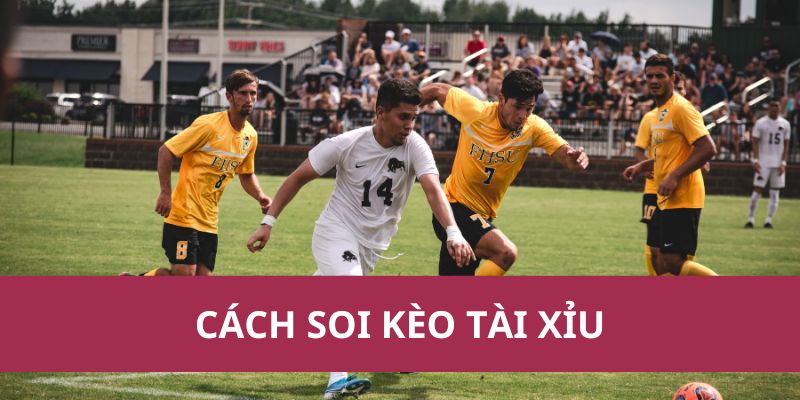Hướng Dẫn Cách Soi Kèo Tài Xỉu Hiệu Quả Từ Chuyên Gia